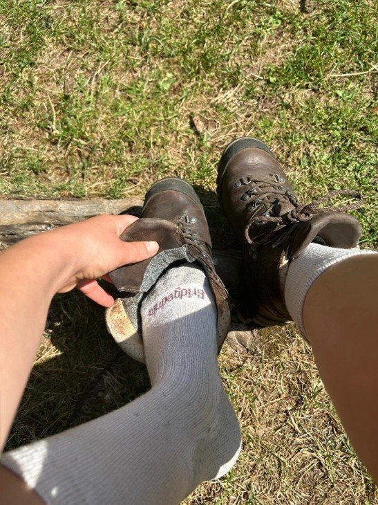 Wandelsokken van Bridgedale Bamboo Crew Women's Stone